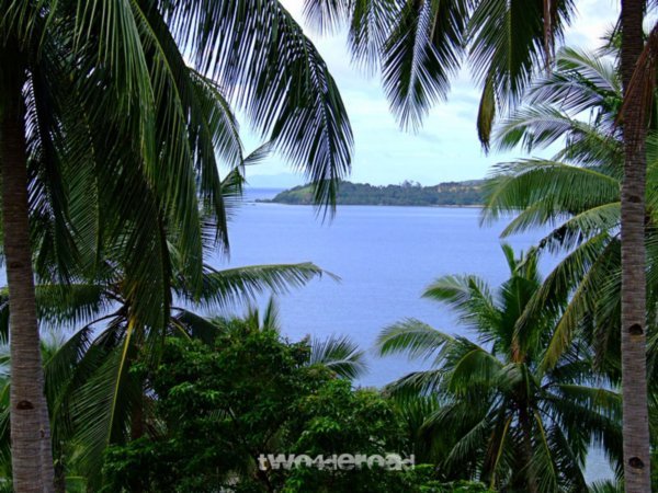 Bays, Palmtrees and more