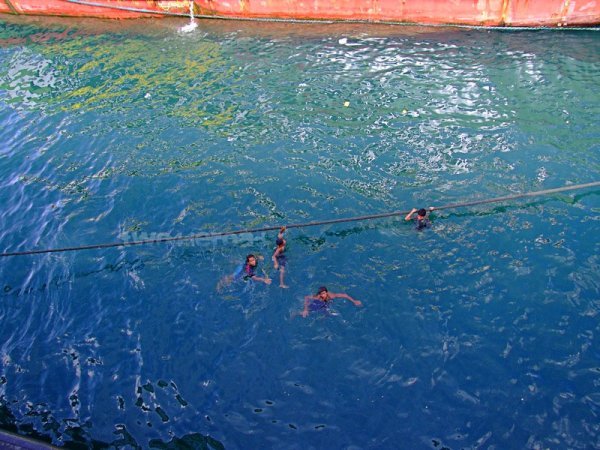 Diving for pesos