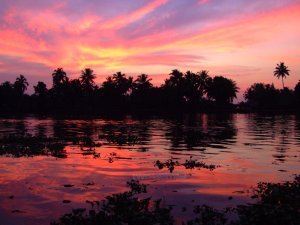 Sunset in the Backwaters