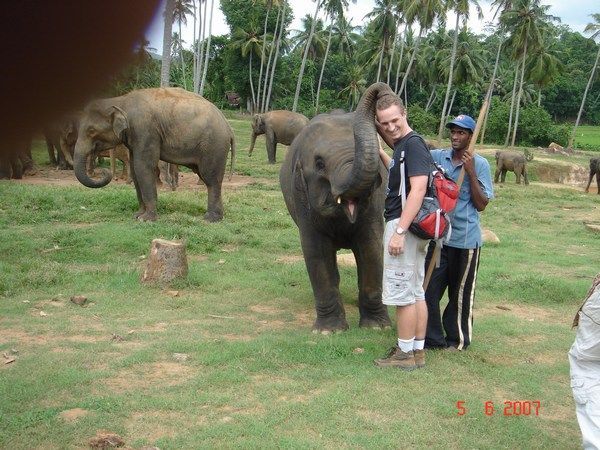 Chas getting felt up by a baby elephant