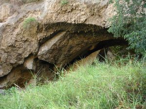 Cave in the Ecological Area