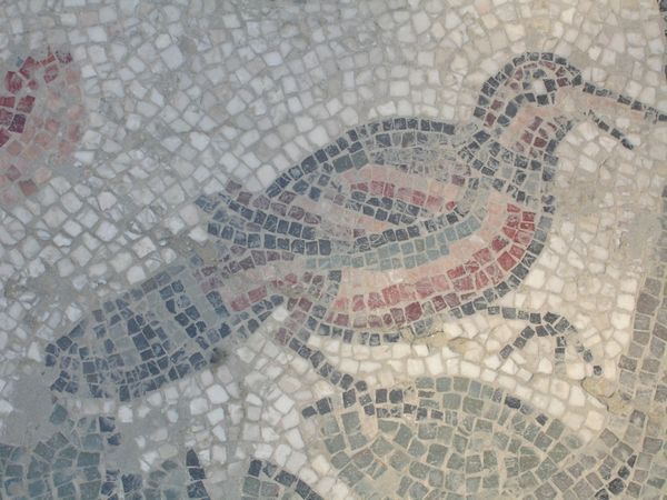 Mosaic Animals