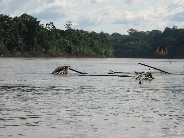 Peruvian Amazon-4