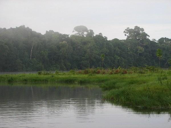 Peruvian Amazon-2