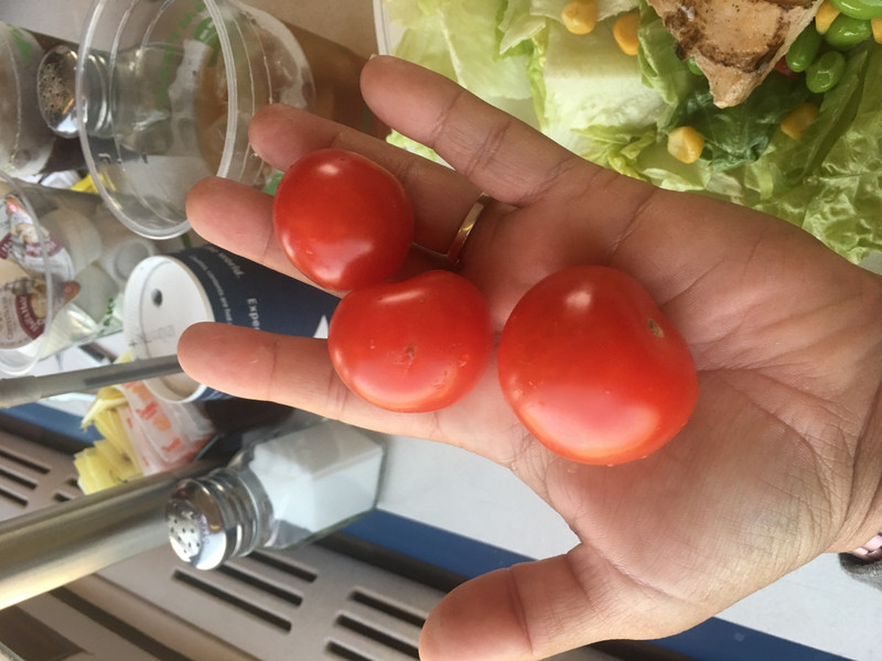 Massive Tomatoes