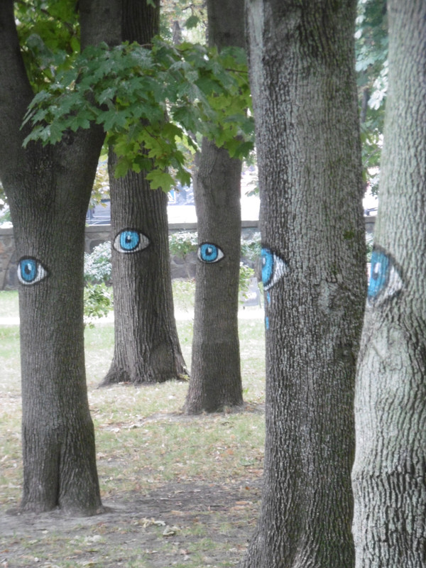 Trees are watching Shevchenka  Park 