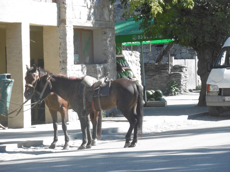 Town horse traffic