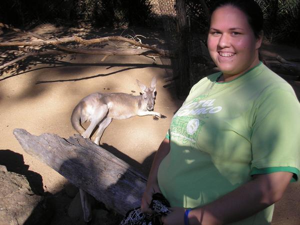 Kangaroos and Me