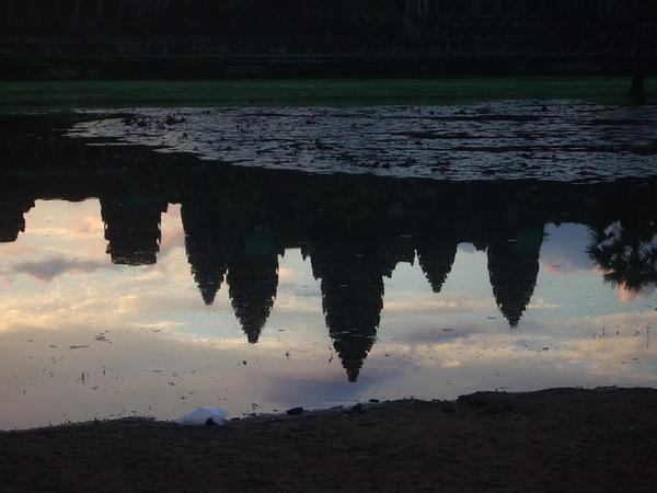 Reflection in pond 
