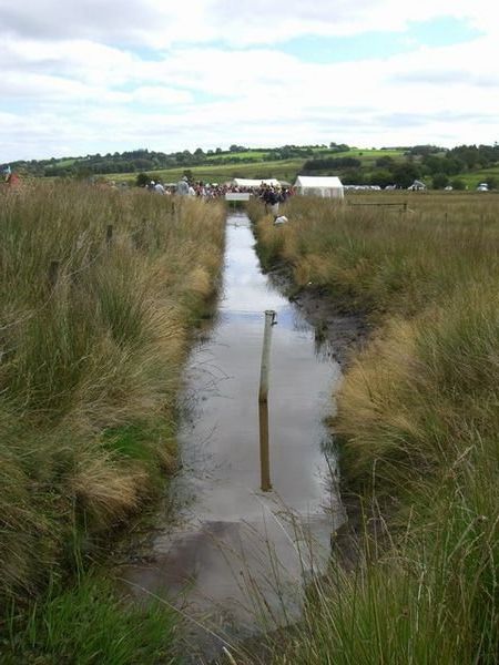 The tranquil waters of the bog trench