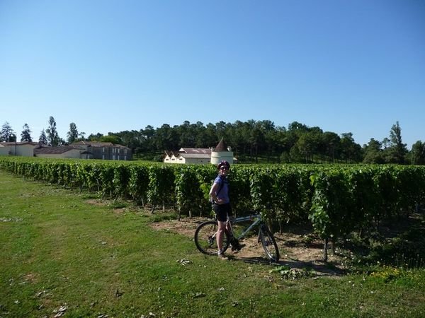 Cycling around the vines