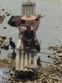 Commorant fisherman, Yangshou, China