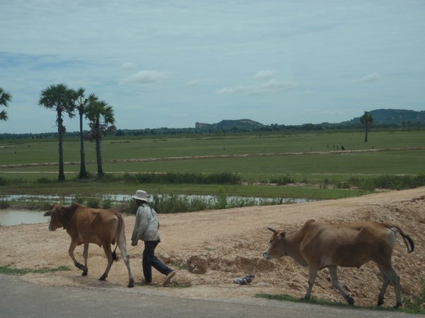 Road to Sihanoukville