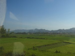 Rice fields on the train to Danang
