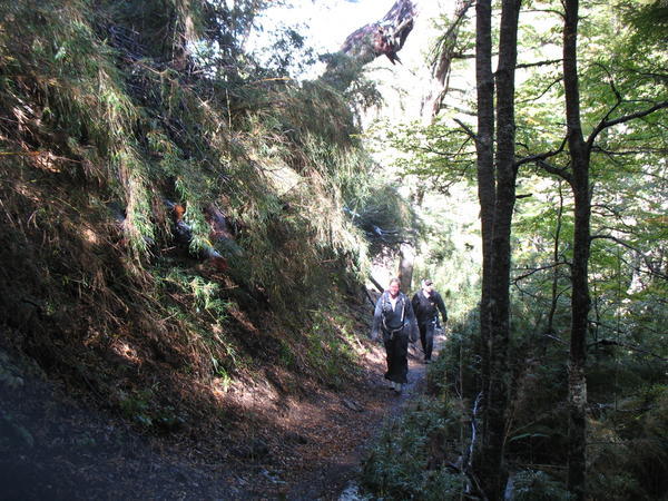 Hiking the Trail