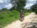 Road between our house and the Mombasa-Malindi road