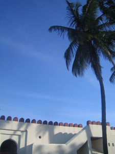 Blue skies, palm trees and swahili architecture... 