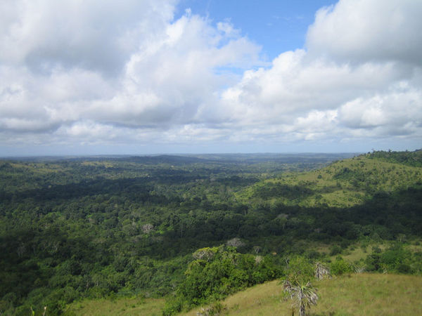 View over Shimba Hills