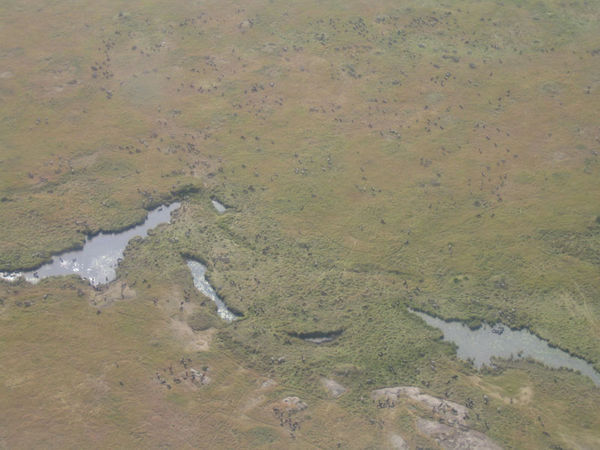Masai Mara from the air