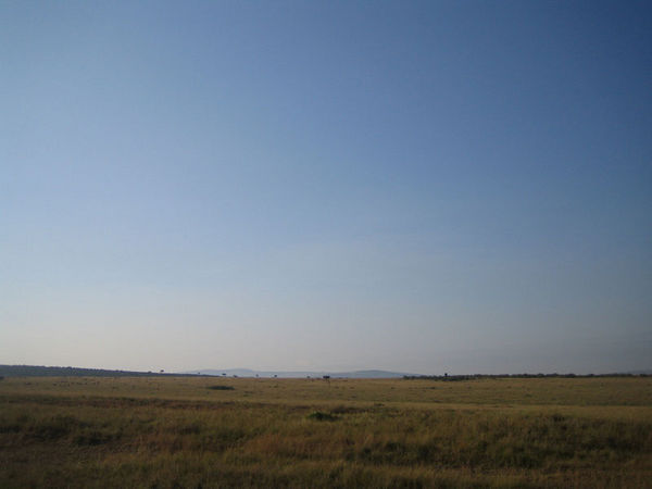 The plains of Masai Mara
