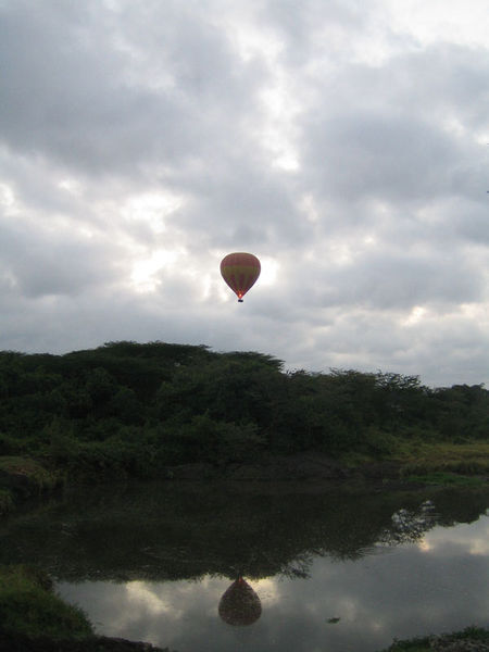 Hot air balloons over Masai Mara at dawn