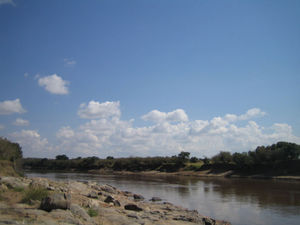 Mara river #1
