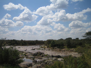Mara river #2