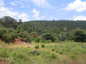More Rift Valley