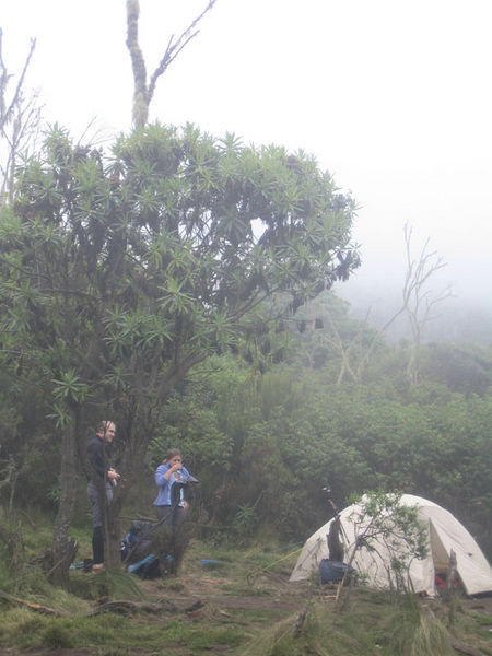 Camping in the clouds at Machame camp