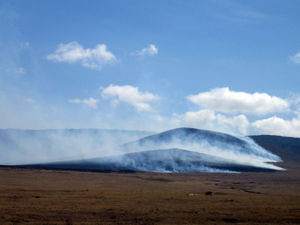 Back burning in Ngorongoro Crater #2