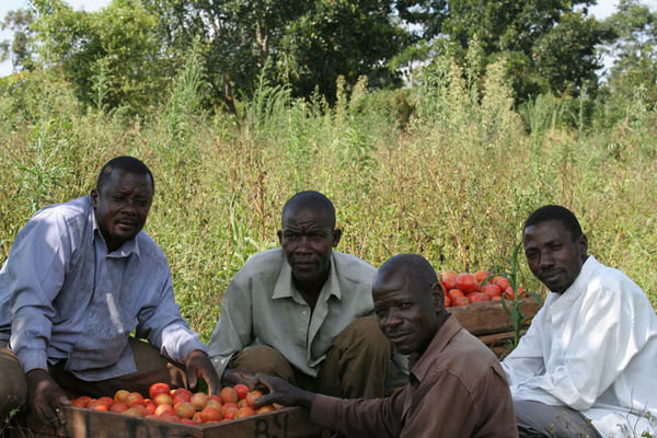 Selling tomatoes down near the river