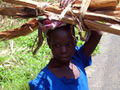 Schoolgirl carries firewood home