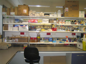 My lab bench