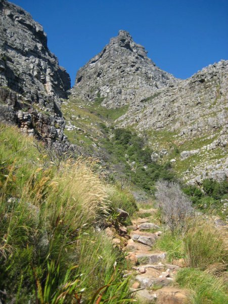 Nearing the top of the walk up Table Mountain