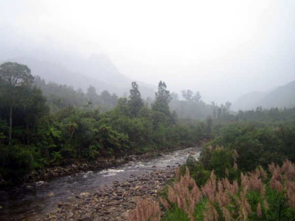 River on the Pinnacles walk in Kauaeranga Valley