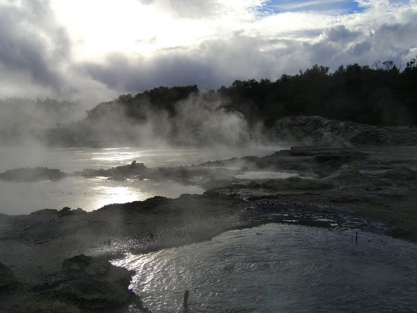 Geothermal pools in Rotorua