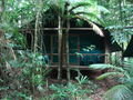 Our home in the jungle