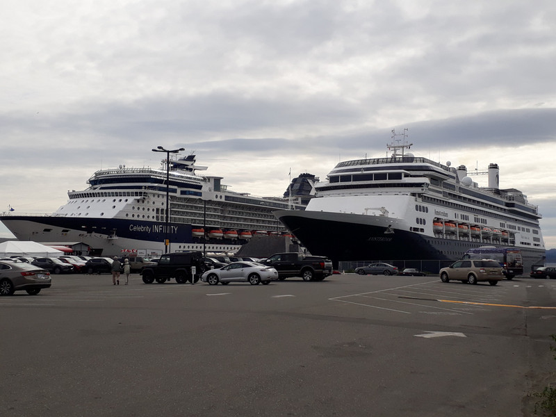 Celebrity Infinity and HAL Amsterdam