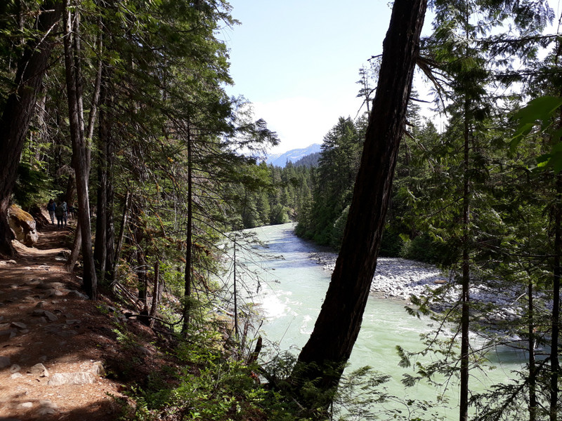 Hiking trail alongside Green River