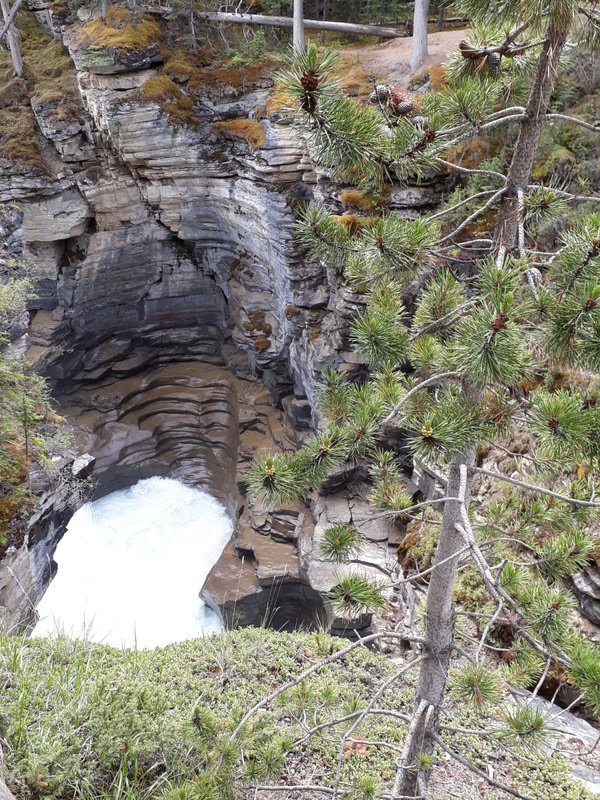 Pot hole at Athabascs Falls
