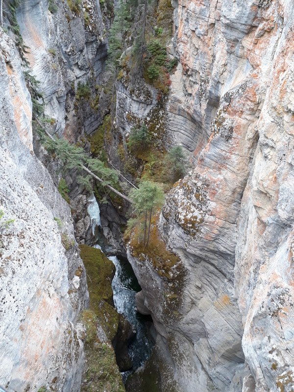 Maligne canyon