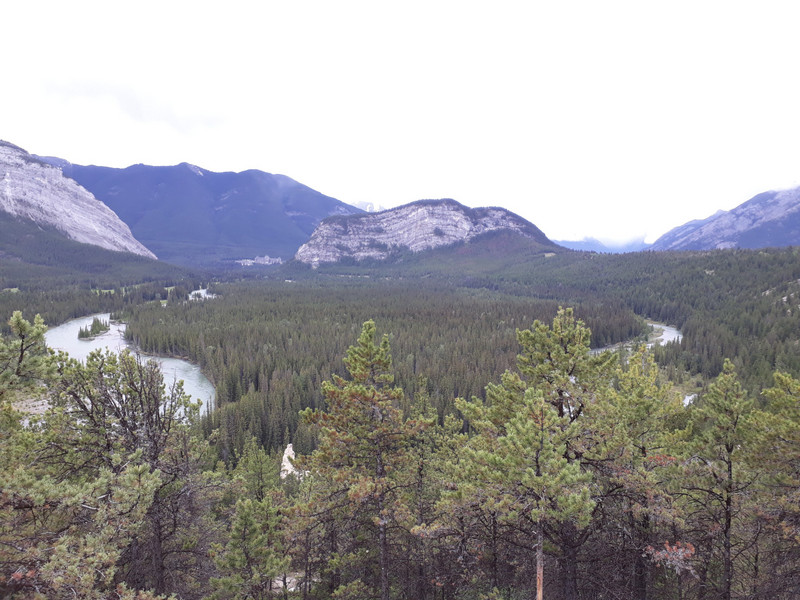 Bow valley with Tunnel Mountain in centre. It is said to resemble a sleeping buffalo.