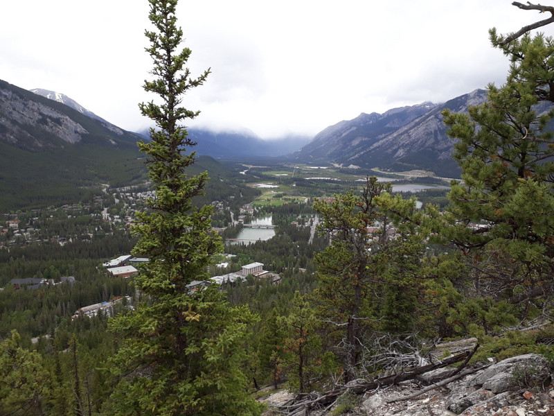 View of Banff from Tunnel Mountain