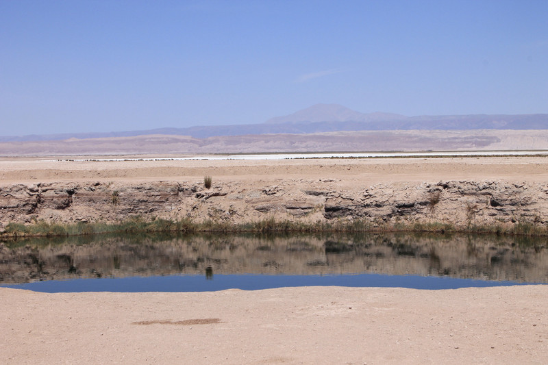 Lagune - désert Atacama