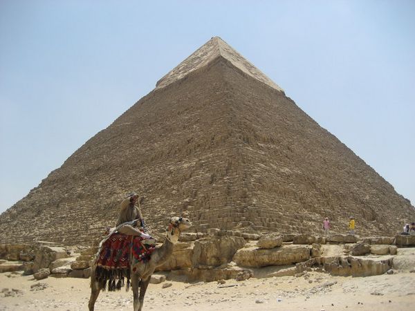 Pyramid & Camel Owner