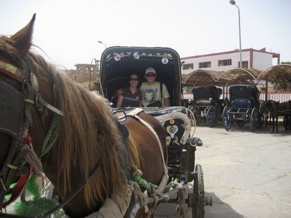 Horse & Carriage Ride to Temple of Edfu