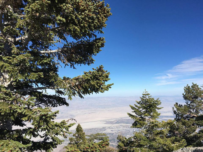 view on the desert - Mount San Jacinto