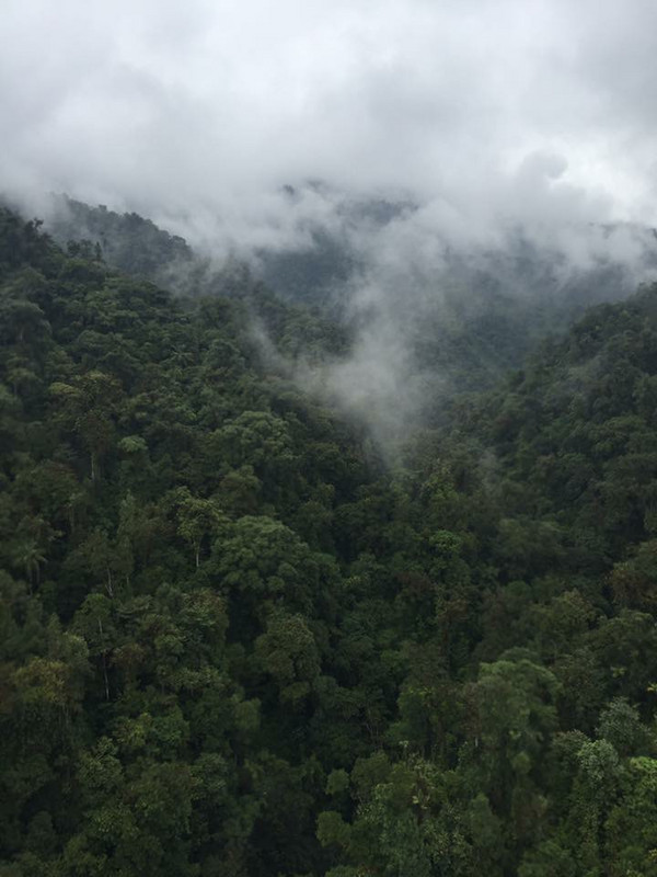 Mindo cloud forest