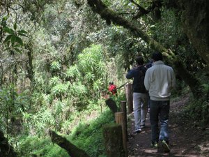 A walk in Cotopaxi National Park