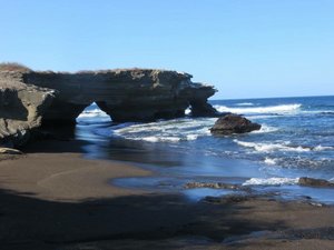 Galápagos magic